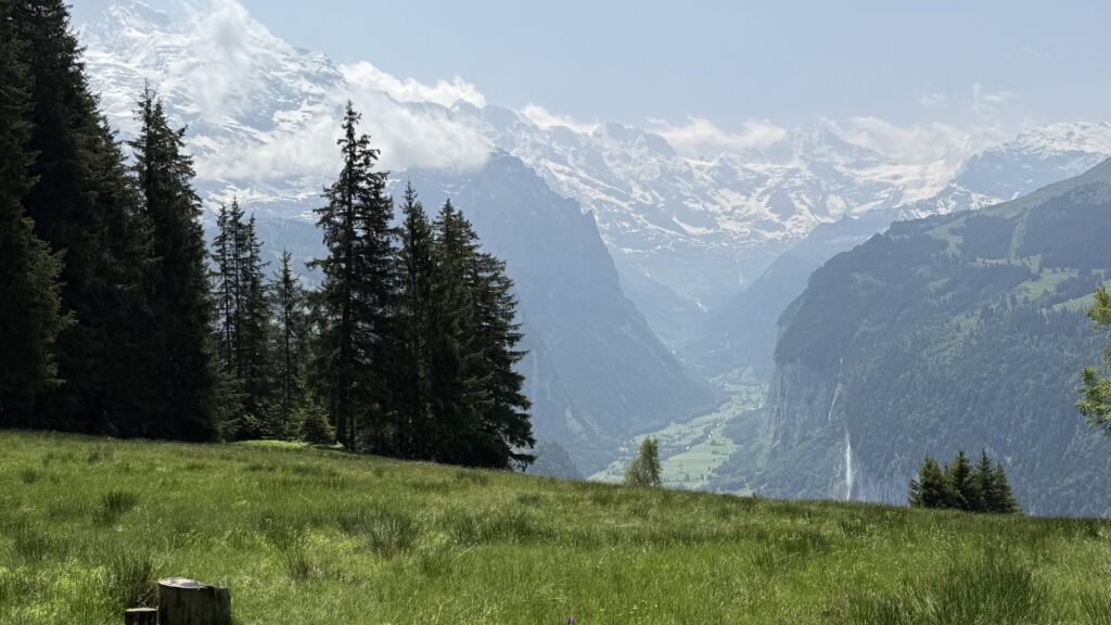 Alpenlandschaft mit Bergen und Wiese
