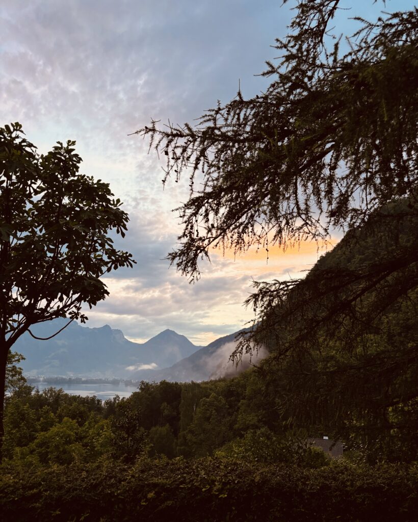 Berglandschaft bei Sonnenuntergang mit Bäumen